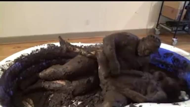Extreme Kinky Amateur Toilet Couple Fucking in Tub of Manure